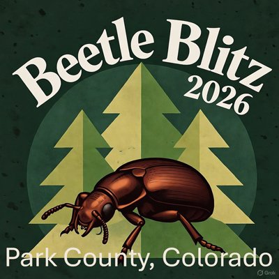 Beetle Blitz program logo