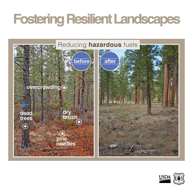 U.S. Forest Service graphic showing how mitigation fosters resilient landscapes